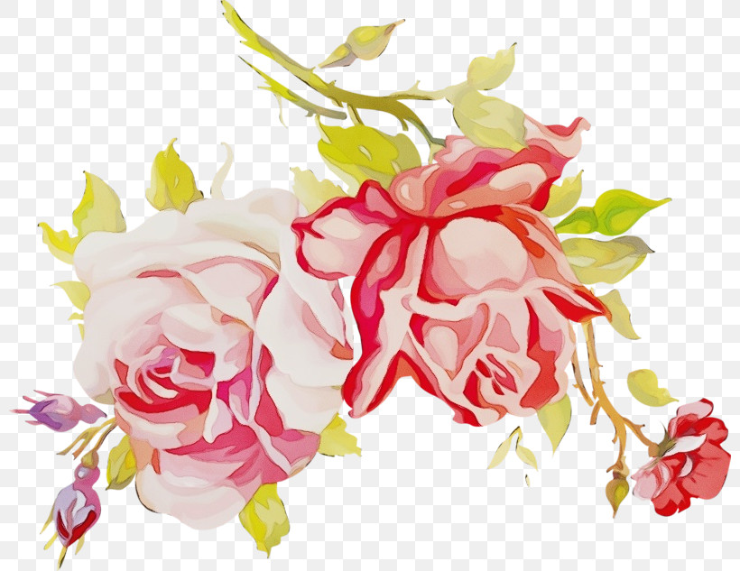 Floral Design, PNG, 800x633px, Watercolor, Cabbage Rose, Cut Flowers, Floral Design, Flower Download Free