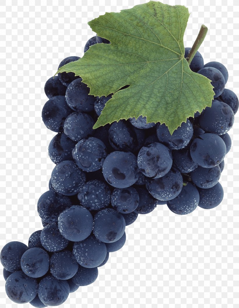 Grape Clip Art, PNG, 2520x3242px, Common Grape Vine, Berry, Bilberry, Blueberry, Food Download Free