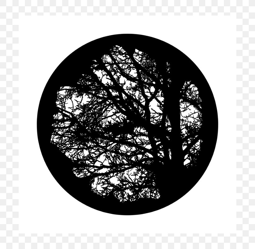 Light Gobo Tree Glass Projector, PNG, 800x800px, Light, Bay Laurel, Black And White, Branch, Evergreen Download Free