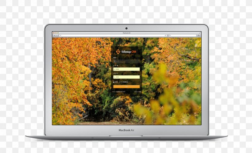 Television Multimedia Tree Display Device, PNG, 2438x1478px, Television, Display Device, Grass, Media, Multimedia Download Free