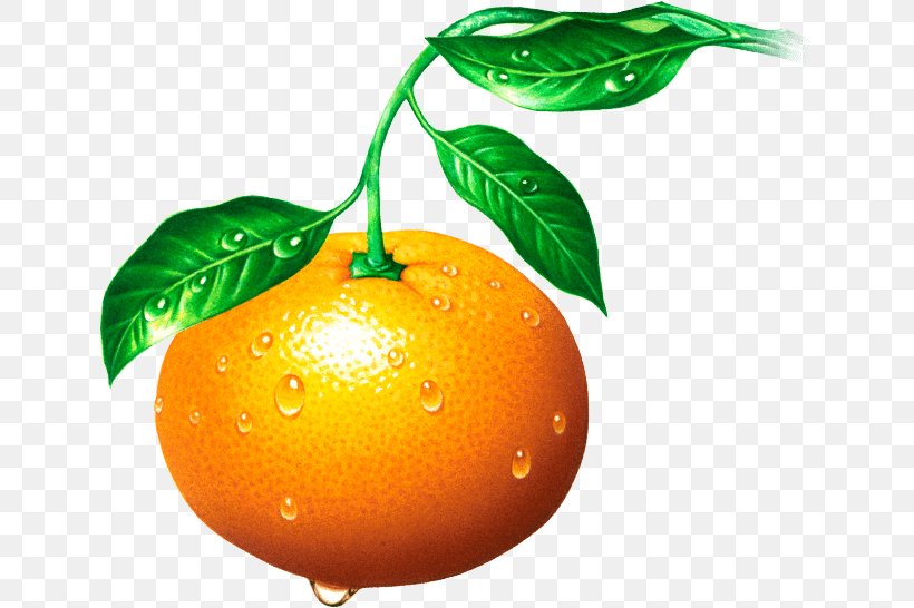 Clementine Tangerine Mandarin Orange Tangelo Rangpur, PNG, 644x546px, Clementine, Bitter Orange, Citrus, Food, Fruit Download Free