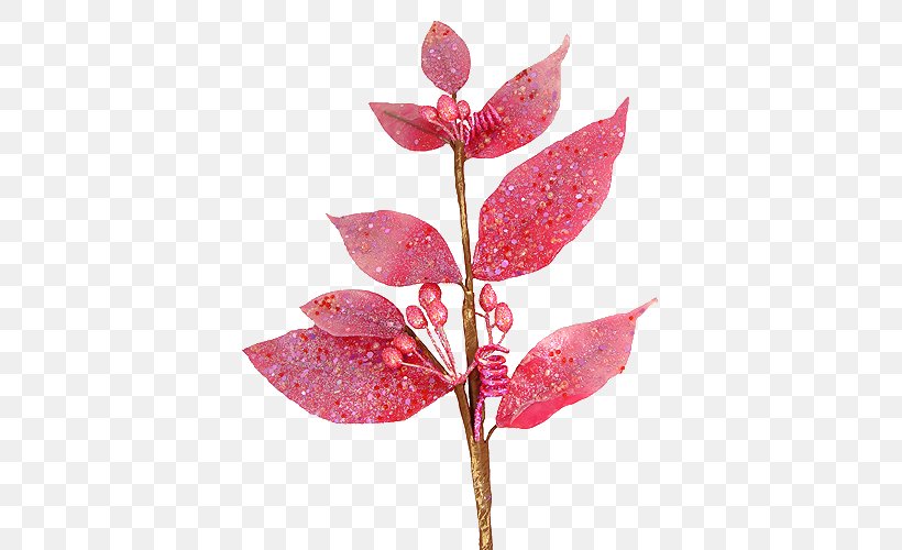 Leaf Plant Stem, PNG, 388x500px, Leaf, Bay Laurel, Branch, Petal, Plant Download Free