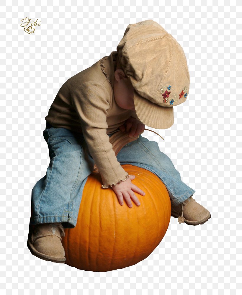 Pumpkin Halloween Film Series Human Behavior Toddler, PNG, 749x1000px, Pumpkin, Behavior, Calabaza, Cucurbita, Halloween Download Free