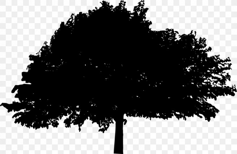 Silhouette Photography, PNG, 850x553px, Silhouette, Black, Black And White, Branch, Drawing Download Free