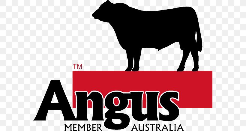 Angus Cattle Logo Ox Farm Angus Australia, PNG, 597x437px, Angus Cattle, Australia, Black And White, Brand, Bull Download Free