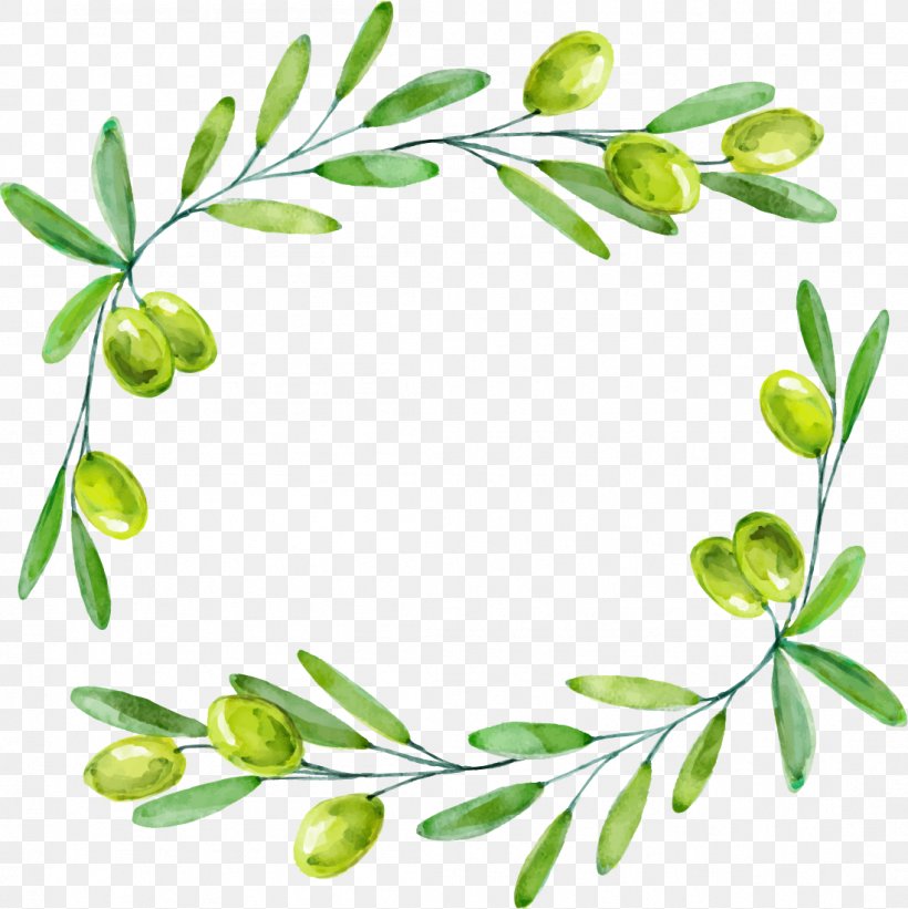 Olive Branch Euclidean Vector, PNG, 1099x1101px, Olive, Branch, Cooking Oils, Flora, Floral Design Download Free