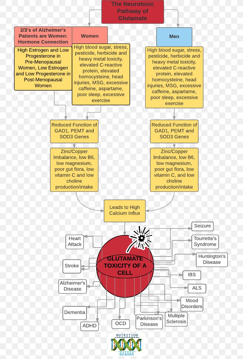 Paper Diagram Line, PNG, 734x1213px, Paper, Area, Diagram, Text Download Free