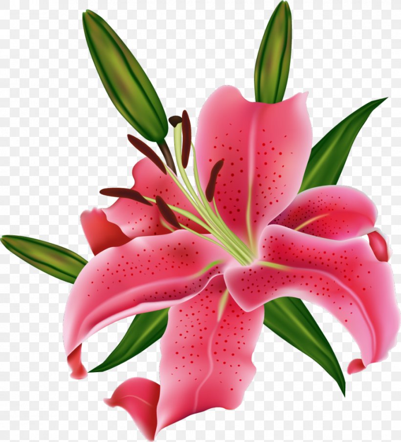 Photography Pink Flowers Clip Art, PNG, 928x1024px, Photography, Computer Software, Cut Flowers, Flower, Flowering Plant Download Free