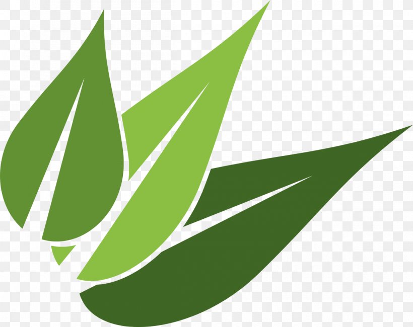 Logo Image Vector Graphics Toronto, PNG, 1200x952px, Logo, Botany, Ftp, Green, Leaf Download Free