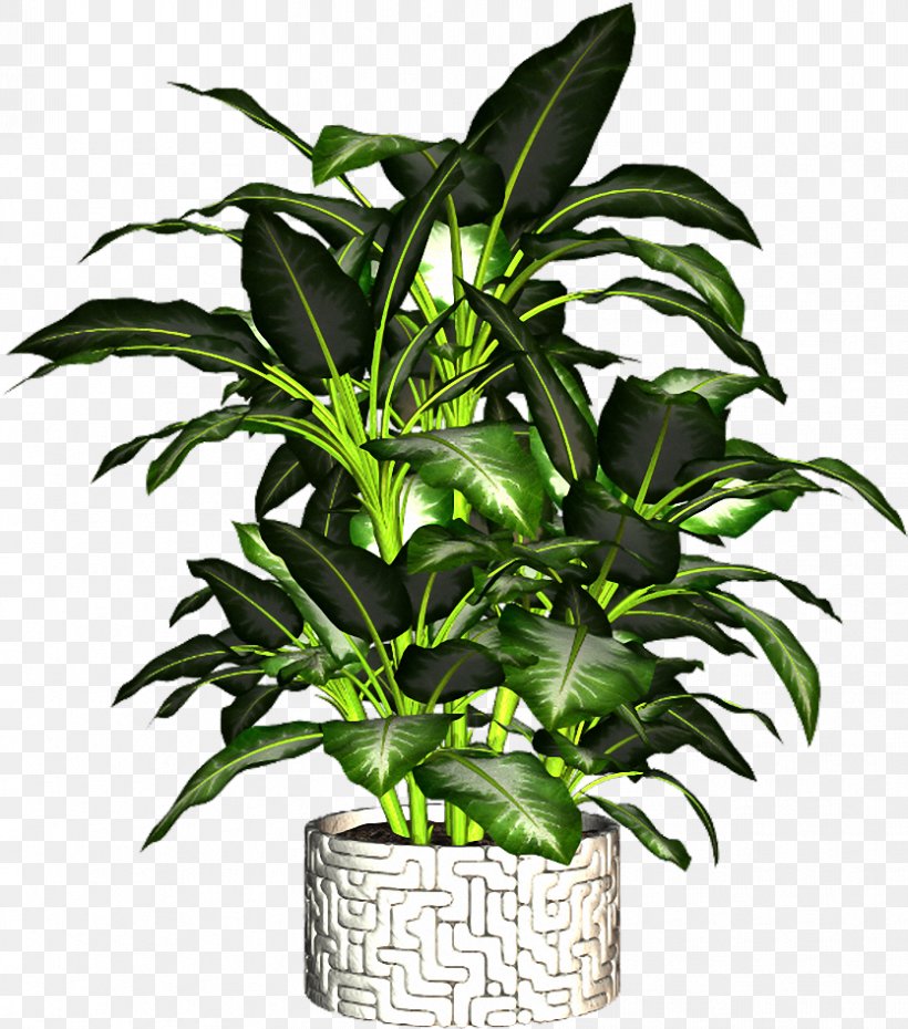 Flowerpot Plant, PNG, 834x946px, Flowerpot, Digital Image, Evergreen, Houseplant, Leaf Download Free