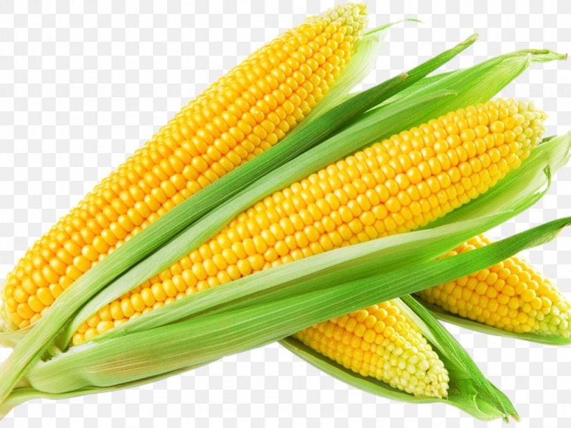 Maize Sweet Corn Clip Art, PNG, 1024x768px, Maize, Commodity, Corn Belt, Corn Kernels, Corn On The Cob Download Free