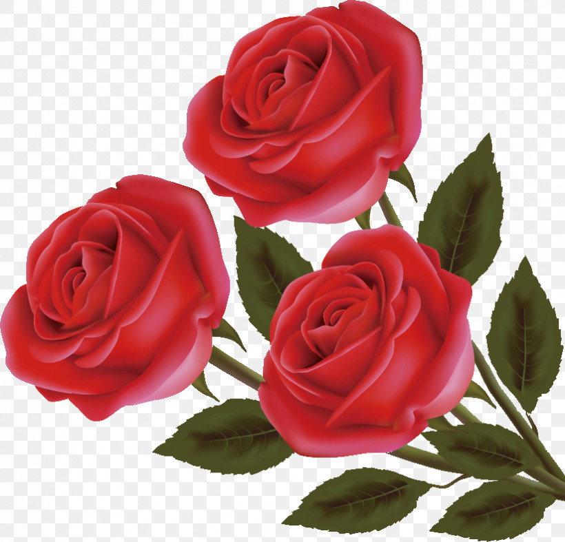 Three Flowers Three Roses Valentines Day, PNG, 823x790px, Three Flowers, Artificial Flower, Bouquet, Bud, Camellia Download Free