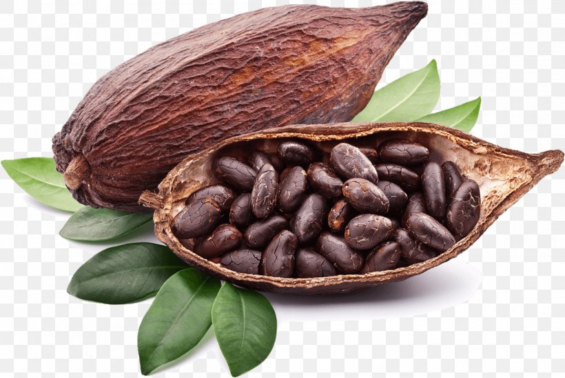 Criollo Organic Food Raw Foodism Tejate Cocoa Bean, PNG, 1104x739px, Criollo, Bean, Chocolate, Chocolate Liquor, Cocoa Bean Download Free
