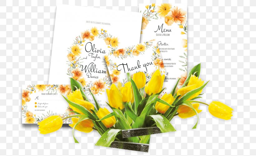 Floral Design Graphic Design Printing Paper, PNG, 698x502px, Floral Design, Brochure, Business Cards, Cut Flowers, Flora Download Free