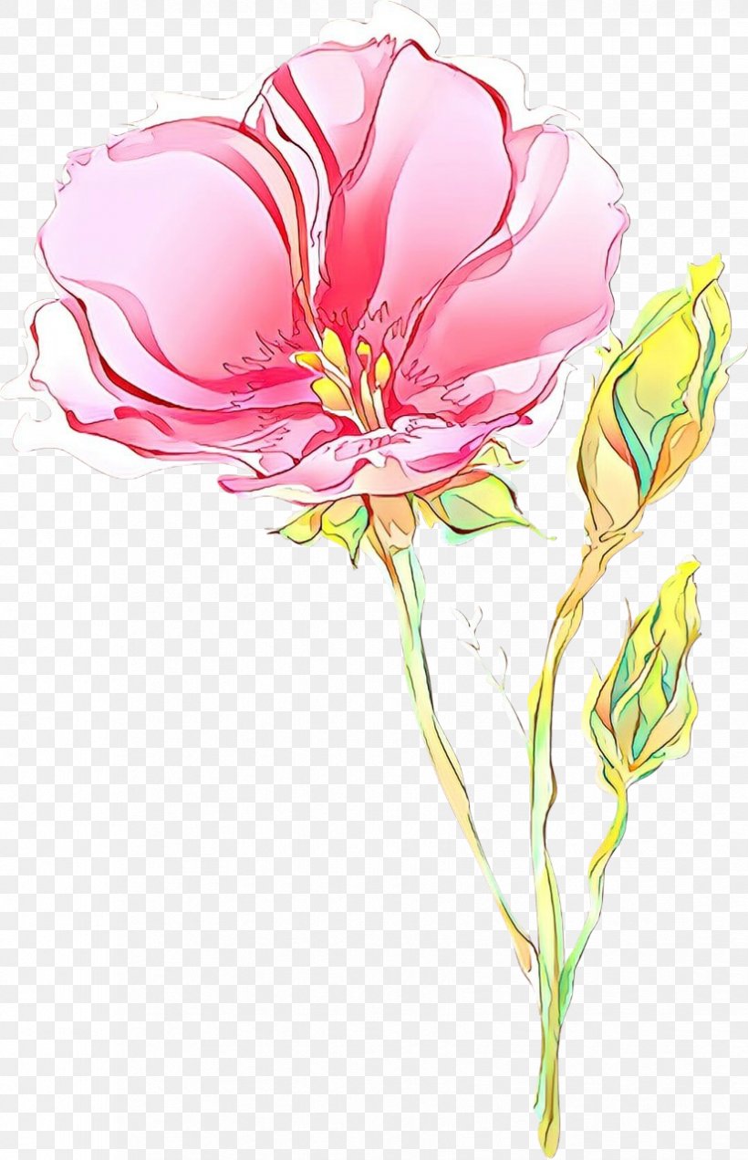 Flower Petal Plant Flowering Plant Pink, PNG, 825x1280px, Cartoon, Cut Flowers, Flower, Flowering Plant, Petal Download Free