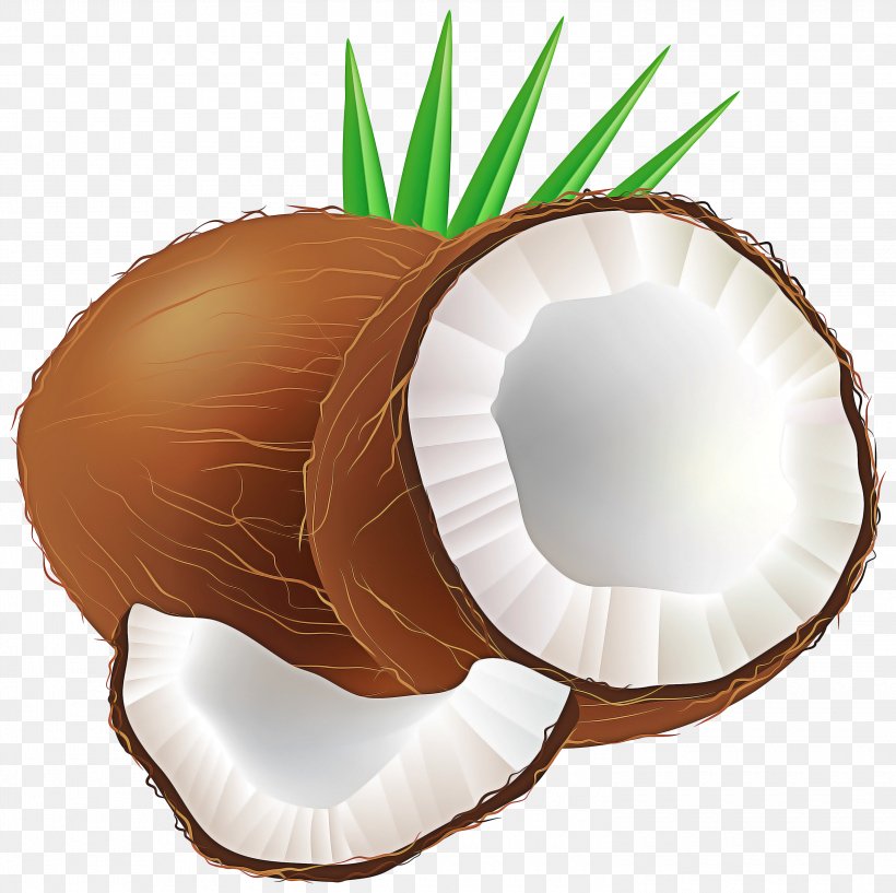 Palm Trees, PNG, 3000x2990px, Coconut Water, Coconut, Coconut Candy, Coconut Crab, Coconut Milk Download Free