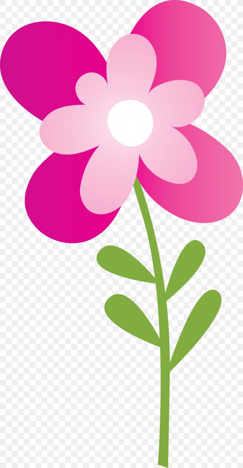 Pink Flower Petal Plant Violet, PNG, 1558x3000px, Spring Flower, Cartoon, Flower, Magenta, Pedicel Download Free