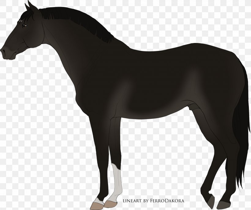 Mustang Stallion Mare Rein Halter, PNG, 2648x2222px, Mustang, Bridle, Colt, Halter, Horse Download Free