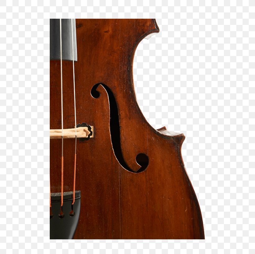Bass Violin Double Bass Violone Viola Bass Guitar, PNG, 500x816px, Watercolor, Cartoon, Flower, Frame, Heart Download Free