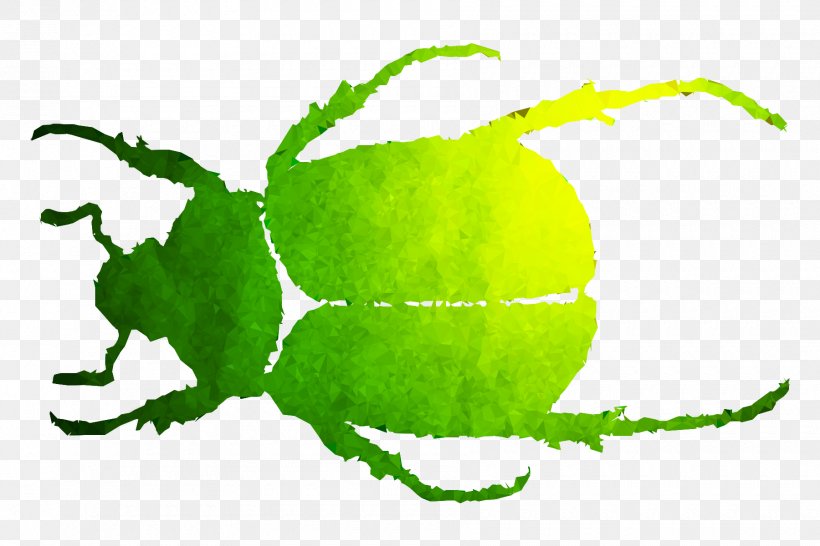 Beetle Leaf Pollinator Clip Art Fauna, PNG, 1800x1200px, Beetle, Fauna, Insect, Invertebrate, Japanese Beetle Download Free