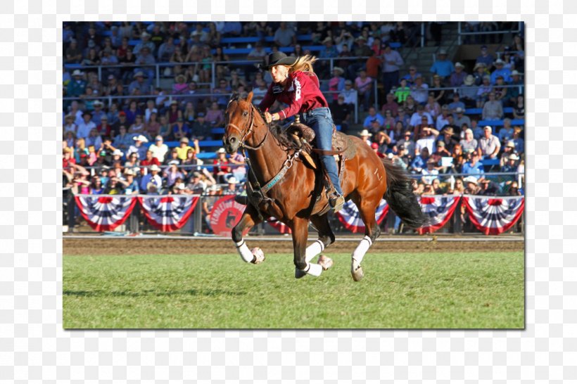 Rodeo Stallion Mare Equestrian Western Riding, PNG, 1080x720px, Rodeo, Animal Sports, Competition, Competition Event, Equestrian Download Free