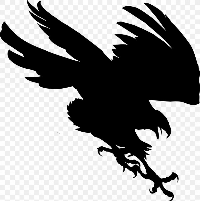 Bald Eagle Beak Clip Art Feather, PNG, 1191x1200px, Bald Eagle, Accipitridae, Accipitriformes, Beak, Bird Download Free