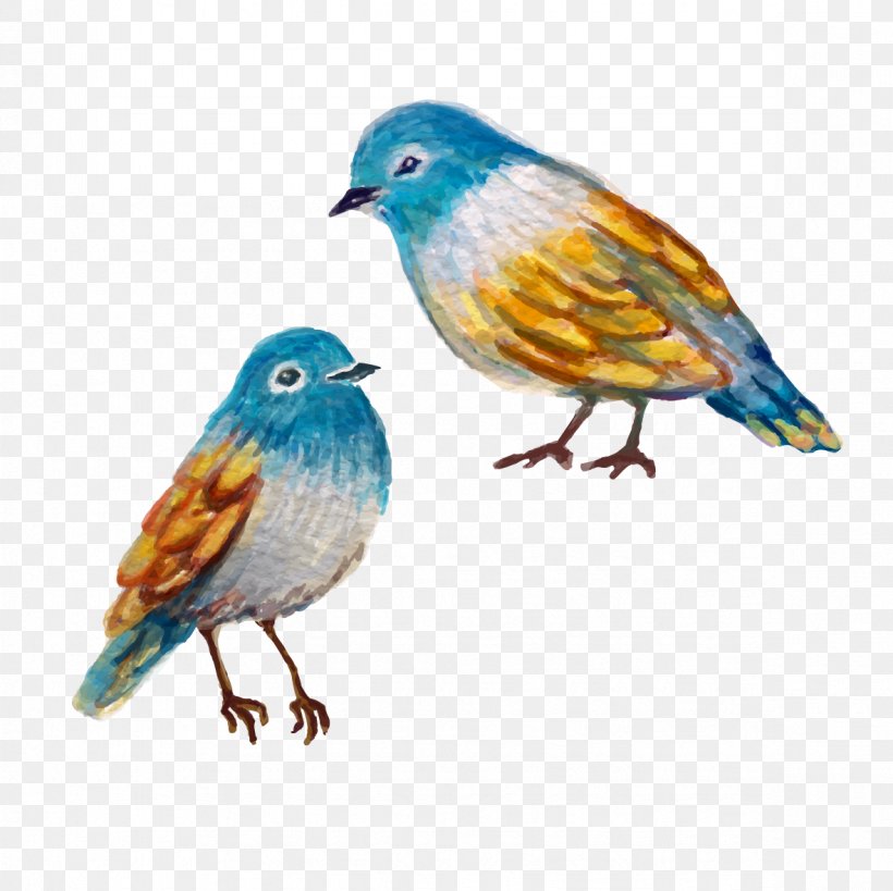 Bird Finch Watercolor Painting, PNG, 1181x1181px, Bird, Art, Beak, Bluebird, Fauna Download Free