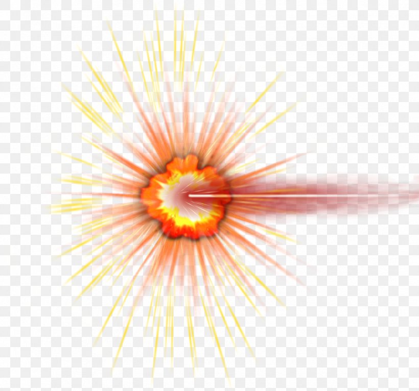 Explosion Shooting Meteoroid Bullet, PNG, 1081x1011px, Explosion, Bullet, Close Up, Daisy, Daisy Family Download Free