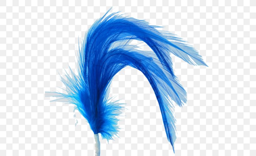 Feather Microsoft Azure, PNG, 531x500px, Feather, Microsoft Azure, Wing Download Free