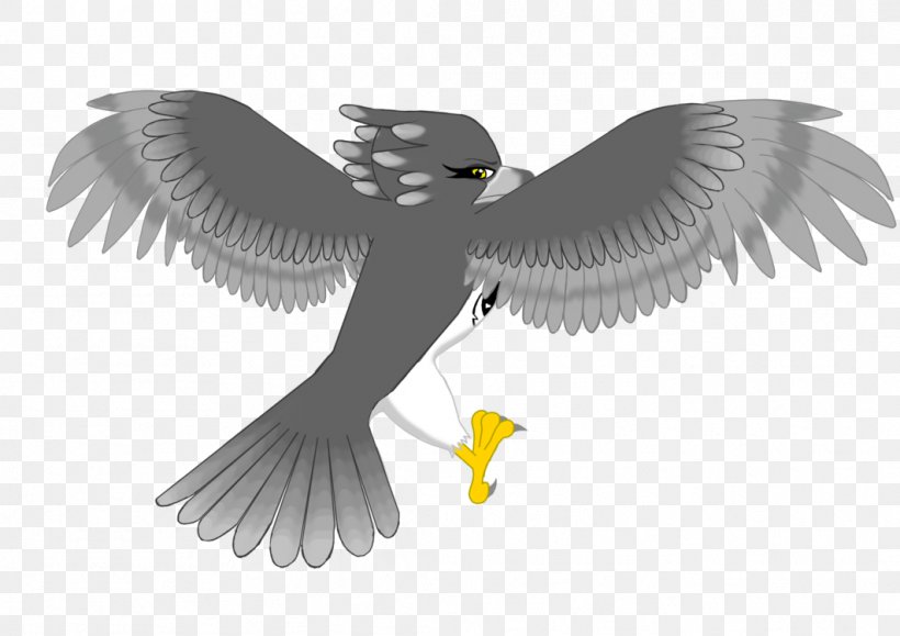 Skegness Butlins YouTube Eagle Beak, PNG, 1063x751px, Skegness, Beak, Bird, Bird Of Prey, Butlins Download Free