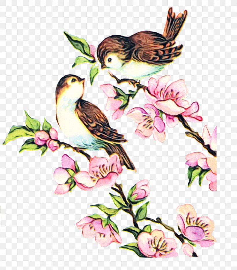 Watercolor Flower Background, PNG, 900x1024px, Watercolor, Beak, Bird, Blossom, Branch Download Free