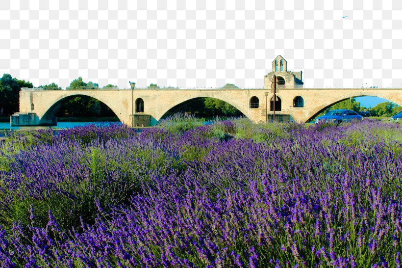 Aix-en-Provence English Lavender Alps Rhxf4ne, PNG, 820x546px, Aixenprovence, Alps, English Lavender, Farm, Field Download Free