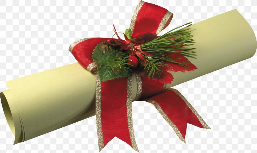 Al'ba-Dent Paper Parchment Christmas Gift, PNG, 1630x973px, Paper, Christmas, Christmas Decoration, Christmas Ornament, Cut Flowers Download Free