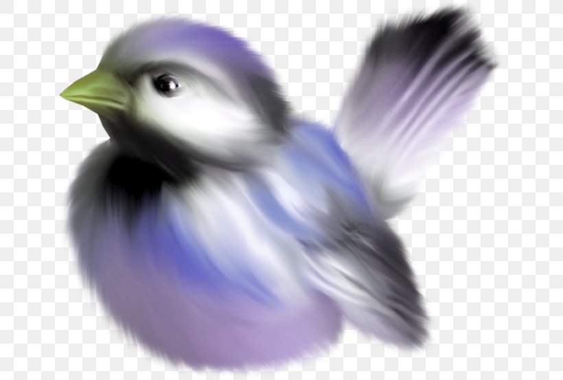 Bird Drawing Clip Art, PNG, 650x553px, Watercolor, Cartoon, Flower, Frame, Heart Download Free