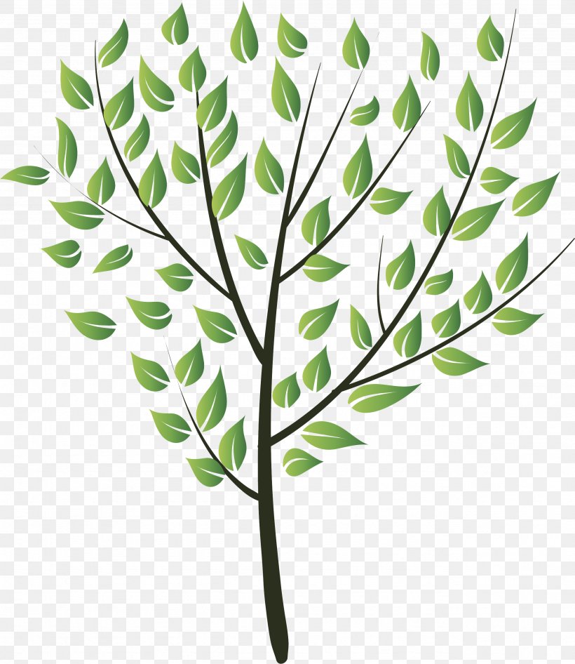 Drawing, PNG, 2564x2959px, Drawing, Art, Branch, Flora, Grass Download Free