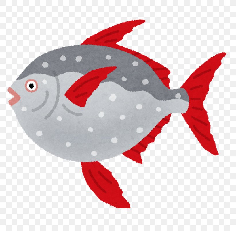 Lampris Guttatus Ocean Sunfish Sashimi Deep Sea Fish, PNG, 800x800px, Lampris Guttatus, Beak, Deep Sea, Deep Sea Fish, Fish Download Free