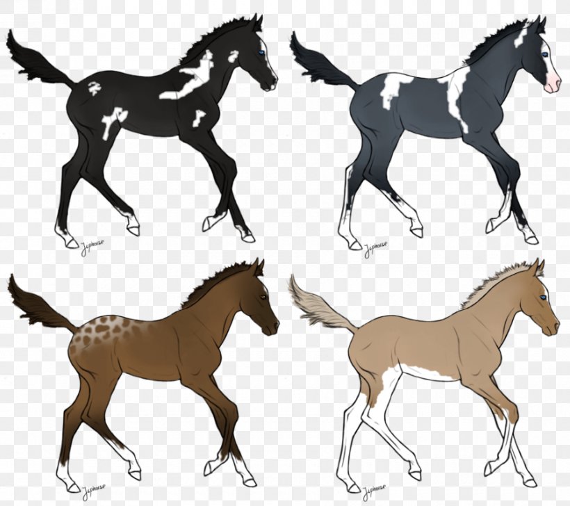 Mustang Foal Colt Stallion Mare, PNG, 900x800px, Mustang, Animal Figure ...