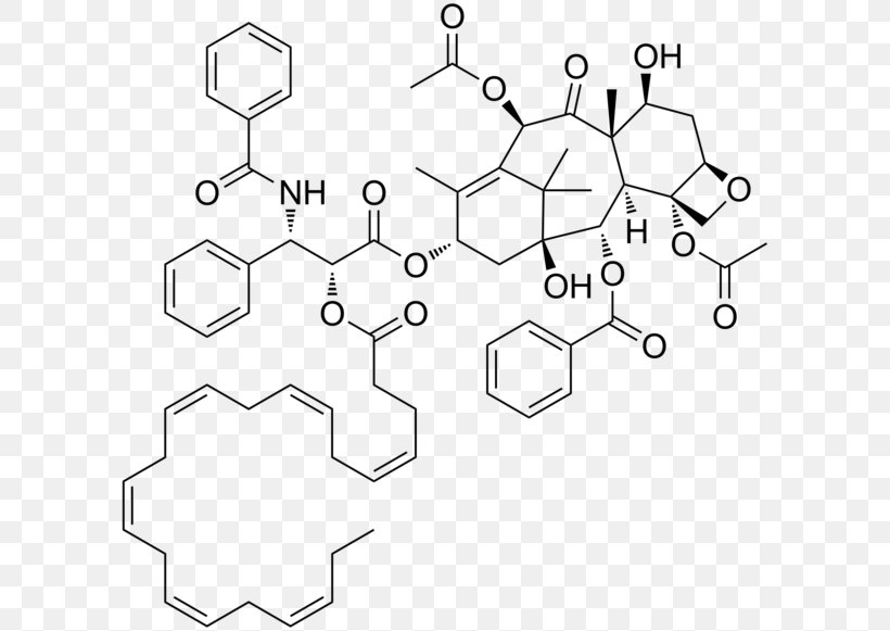 Paclitaxel Total Synthesis 10-Deacetylbaccatin DHA-paclitaxel Natural Product, PNG, 600x581px, Paclitaxel, Area, Auto Part, Black And White, Chemistry Download Free