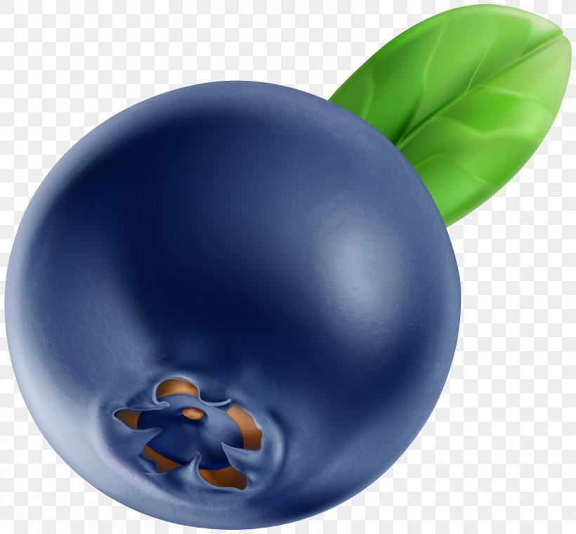 Clip Art Blueberry Image JPEG, PNG, 6000x5561px, Blueberry, Art Museum, Berries, Drawing, Fruit Download Free