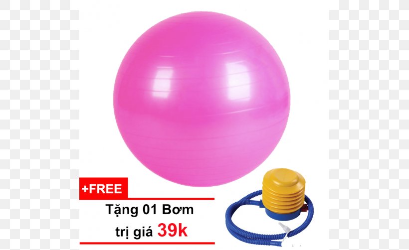 Dụng Cụ Thể Thao VivaSports Muscle Bodybuilding Ball, PNG, 800x502px, Sports, Ball, Balloon, Bodybuilding, Exercise Download Free