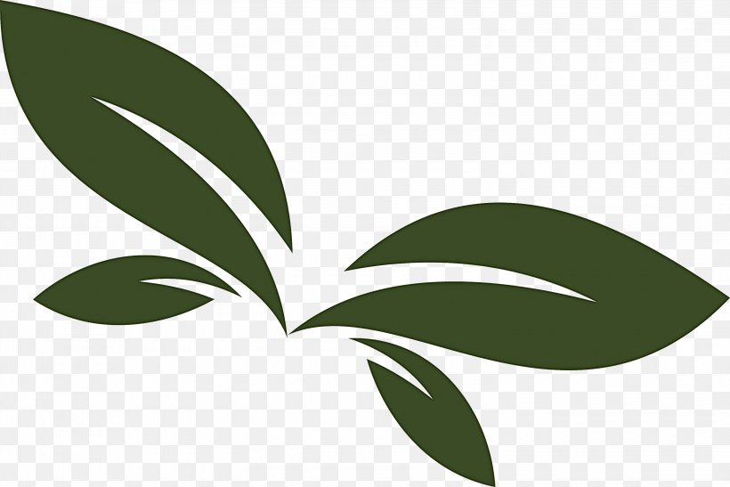 Leaf Green Plant Logo Flower, PNG, 3000x2003px, Leaf, Flower, Green, Logo, Plant Download Free