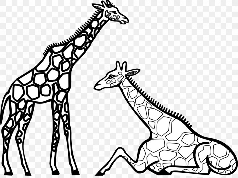 Coloring Book Reticulated Giraffe Coloring Pictures Adult Child, PNG, 999x749px, Coloring Book, Adult, Animal Figure, Artwork, Black And White Download Free
