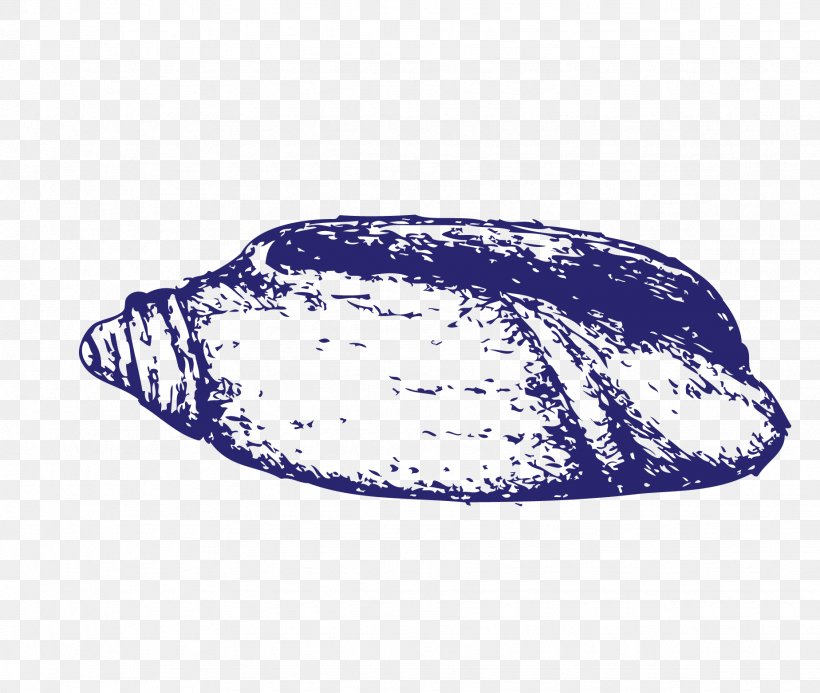 Seashell Conch, PNG, 1848x1563px, Seashell, Blue, Conch, Gastropod Shell, Lobatus Gigas Download Free