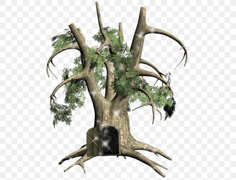 Twig Trunk Tree, PNG, 600x626px, Twig, Branch, Digital Image, Drawing, Houseplant Download Free