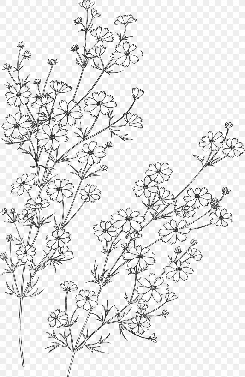 Drawing Painting Flower, PNG, 1200x1848px, Drawing, Area, Art, Black And White, Branch Download Free