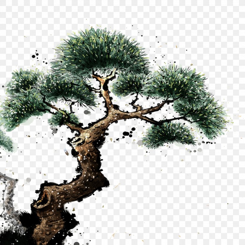 Euclidean Vector Pine, PNG, 2244x2244px, Pine, Bonsai, Branch, Disease, Houseplant Download Free