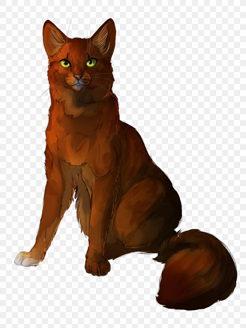 Somali Cat Abyssinian Cat Havana Brown Whiskers Domestic Short-haired Cat, PNG, 1280x1707px, Somali Cat, Abyssinian, Abyssinian Cat, Asian, Carnivoran Download Free