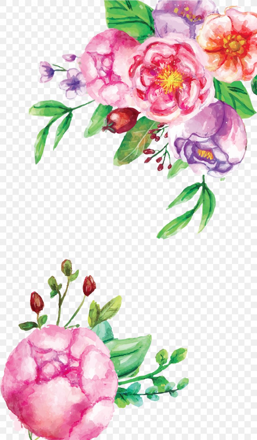 Watercolor Pink Flowers, PNG, 1017x1737px, Watercolor Painting, Camellia, Chinese Peony, Common Peony, Cut Flowers Download Free