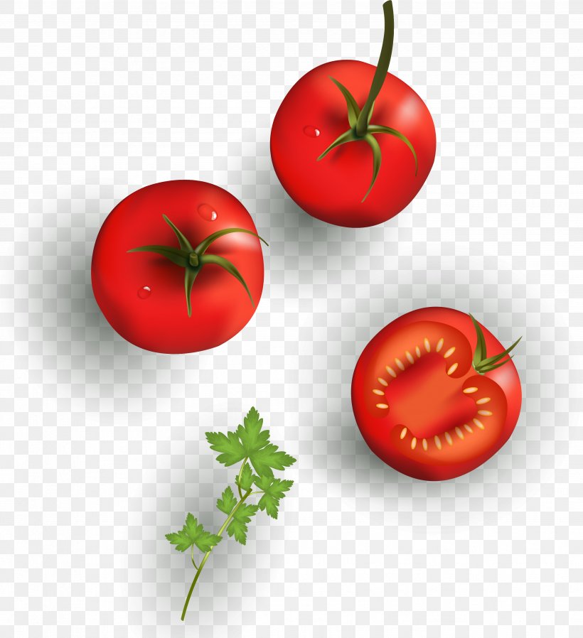 Cherry Tomato Clip Art Vector Graphics Bush Tomato, PNG, 3502x3839px, Tomato, Bush Tomato, Cartoon, Cerasus, Cherries Download Free