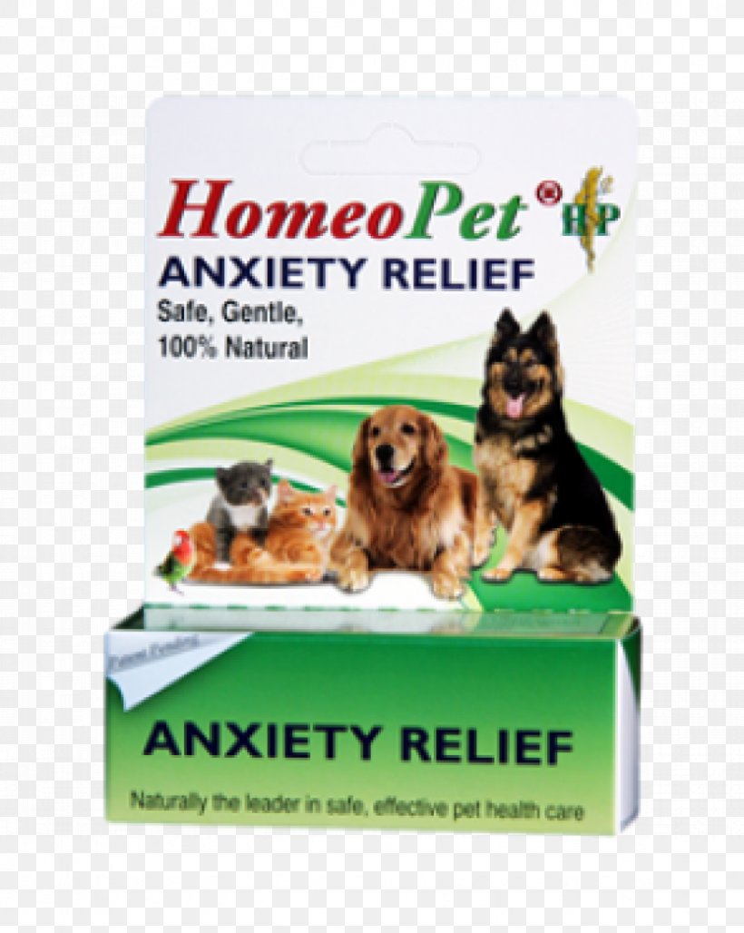 Dog Anxiety Disorder Cat Stress, PNG, 832x1044px, Dog, Anxiety, Anxiety Disorder, Cat, Dog Like Mammal Download Free